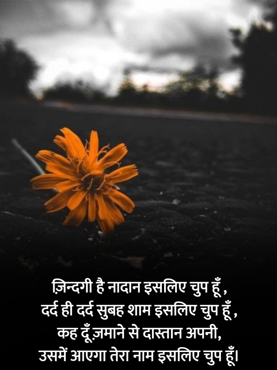 Dard Bhari Shayari